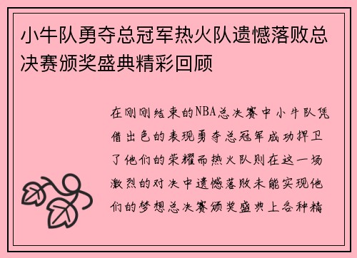 小牛队勇夺总冠军热火队遗憾落败总决赛颁奖盛典精彩回顾